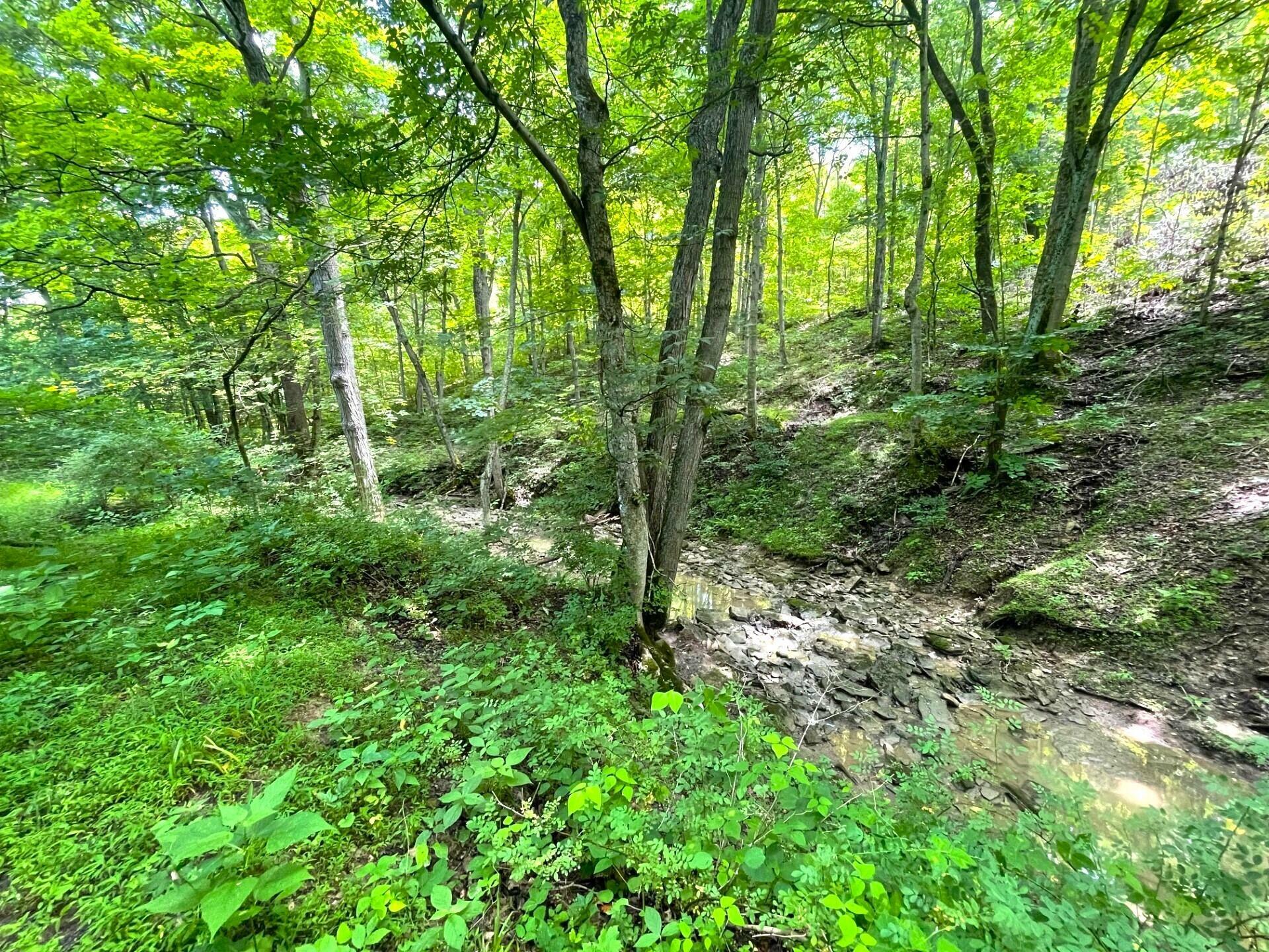 Property Photo: 0 Lenoxburg Foster Road KY 41043