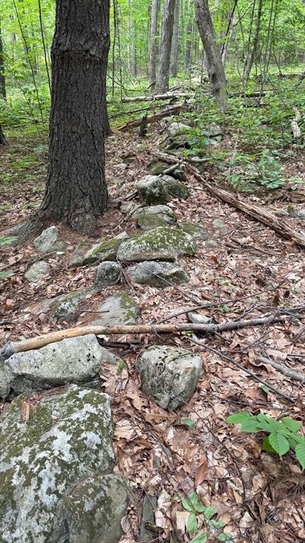 Property Photo:  1083 Northfield Rd  MA 01462 