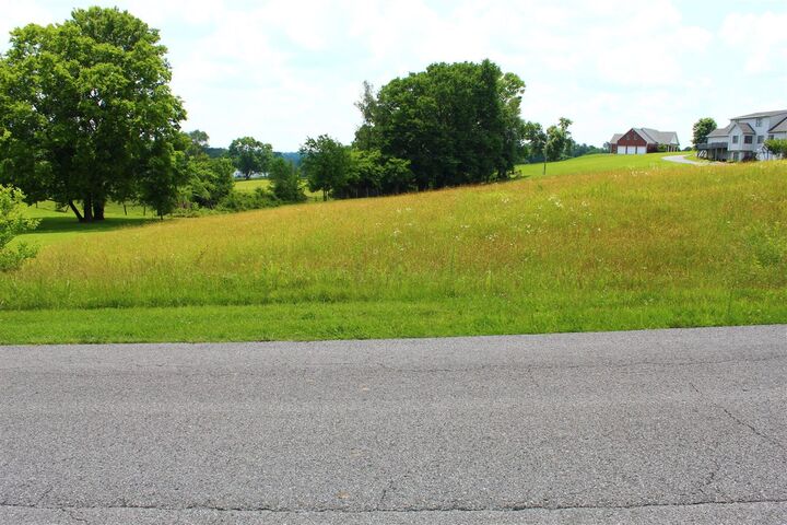 Lot 55 Steeplechase Road  Glasgow KY 42141 photo