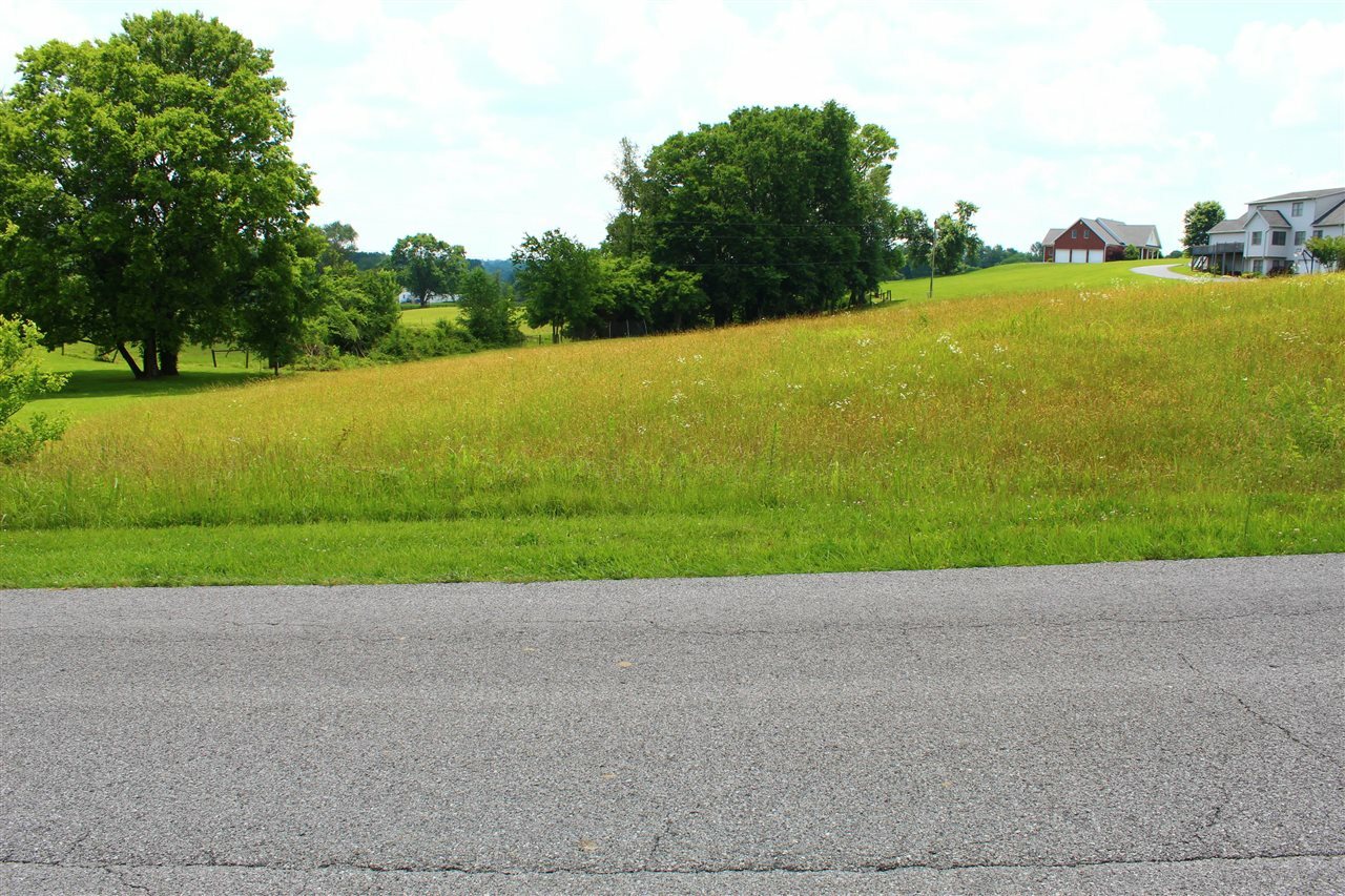 Property Photo: Lot 55 Steeplechase Road KY 42141