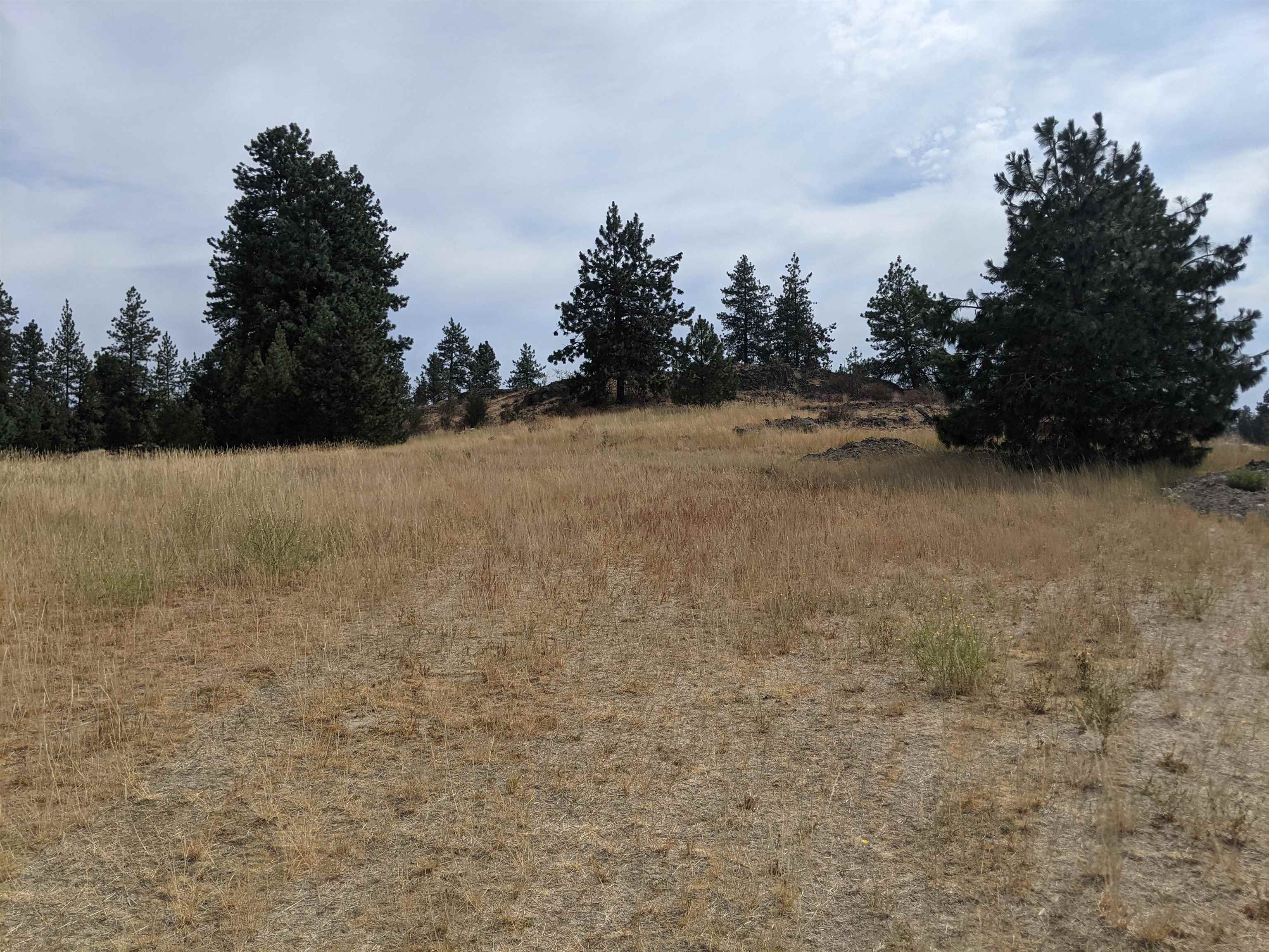 Property Photo: 25073.9047 Unassigned Address Rd WA 99224