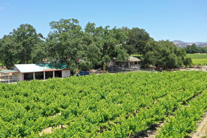5301 Highway 128  Geyserville CA 95441 photo