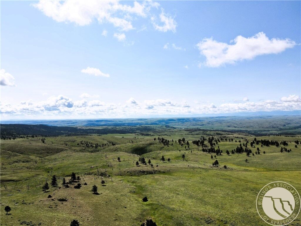 Property Photo:  Tbd Deadmans Canyon Rd  MT 59601 