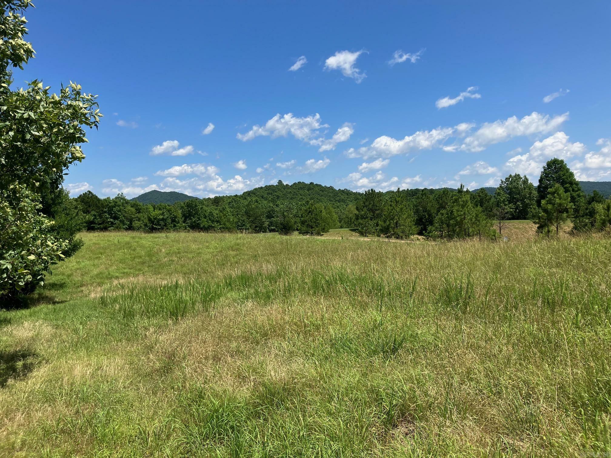 Property Photo: Tbd Tract 3 Thompson Creek Lane AR 71953