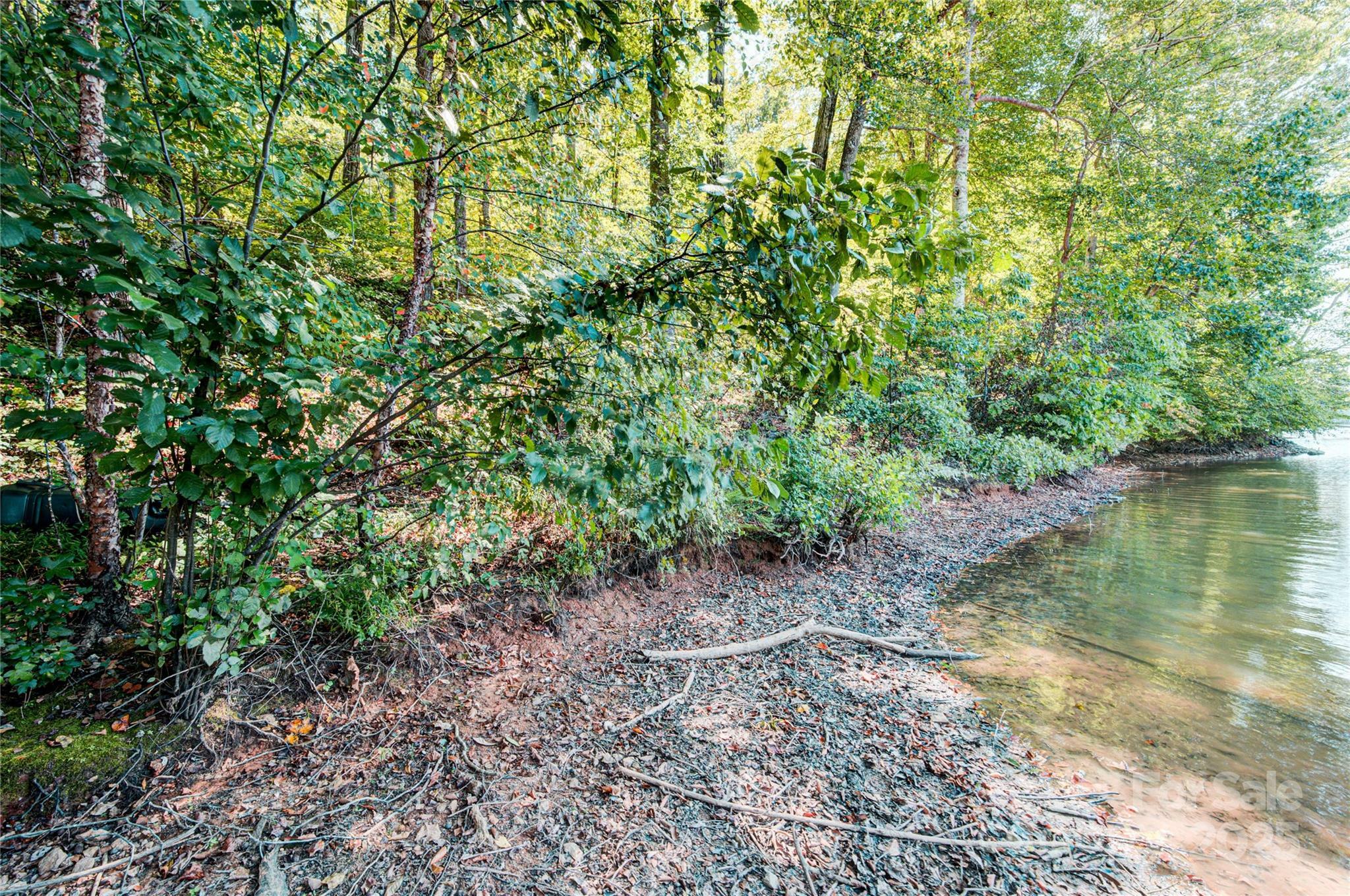 Property Photo: 0 Carriage Road NC 28677