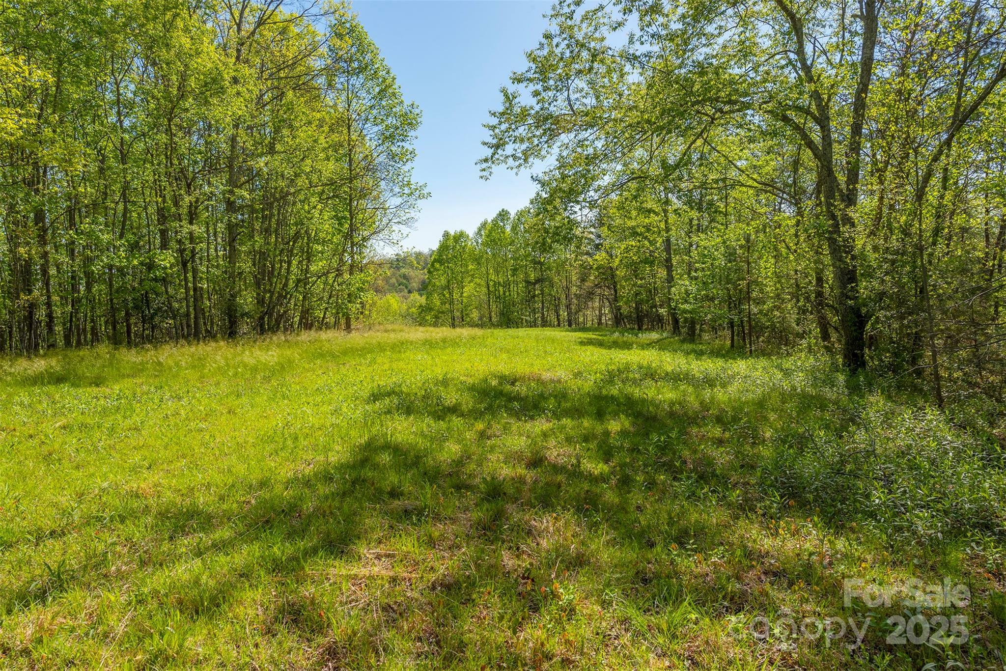 Property Photo: 000 Thousand Oaks Drive NC 28752