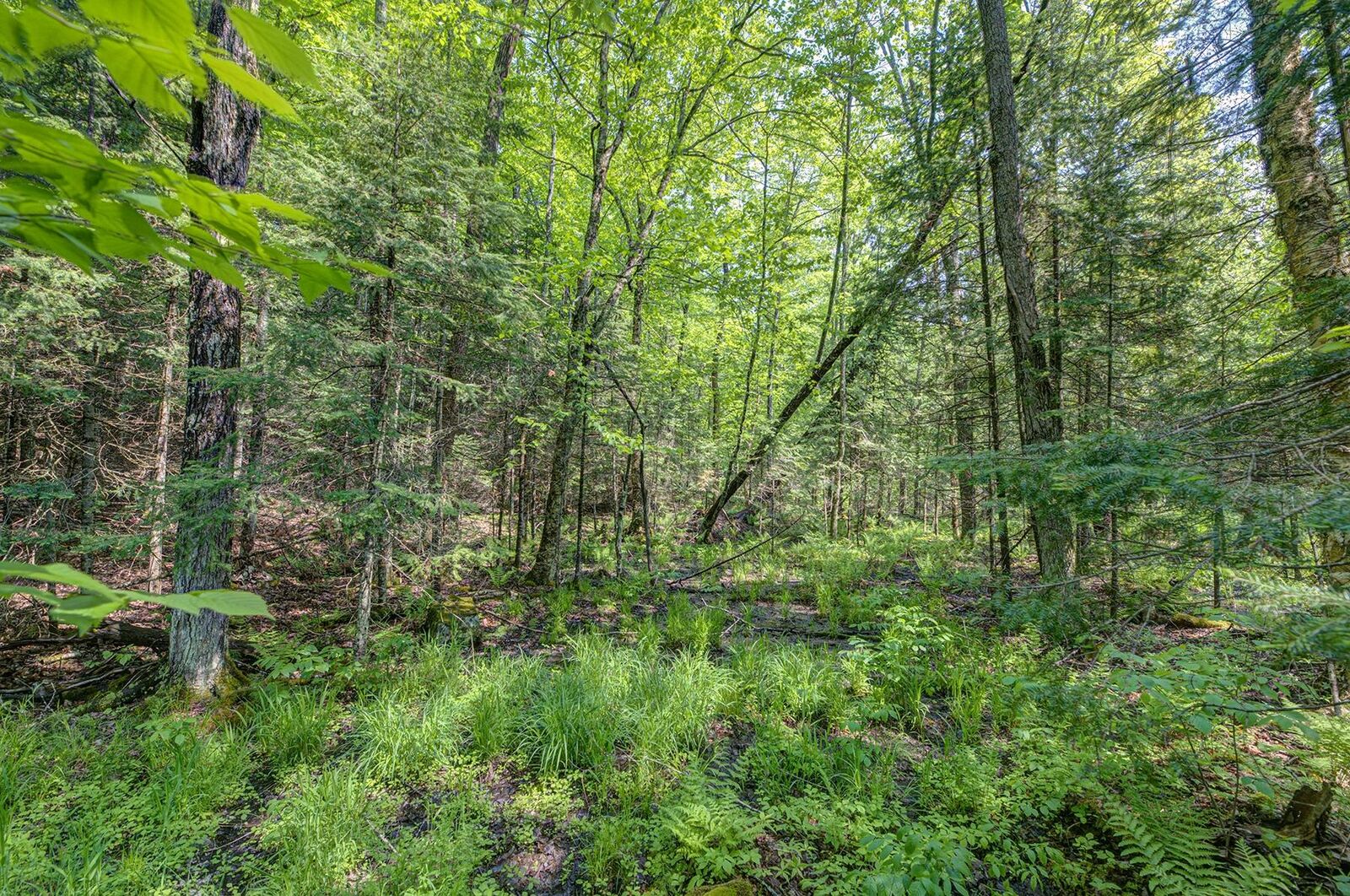 Property Photo:  Lot 12 Upstream Dr  WI 54557 