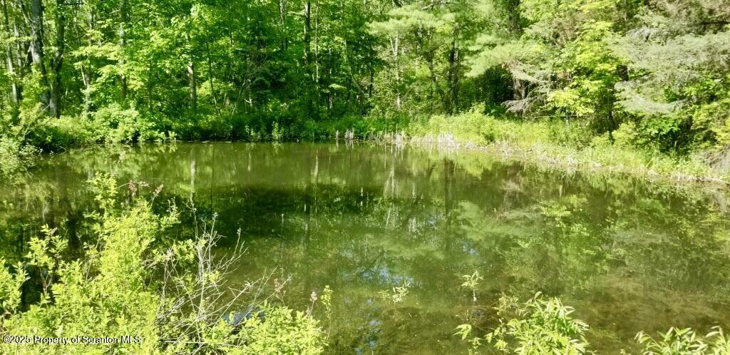 Property Photo: 20668 State Route 171 Route PA 18847