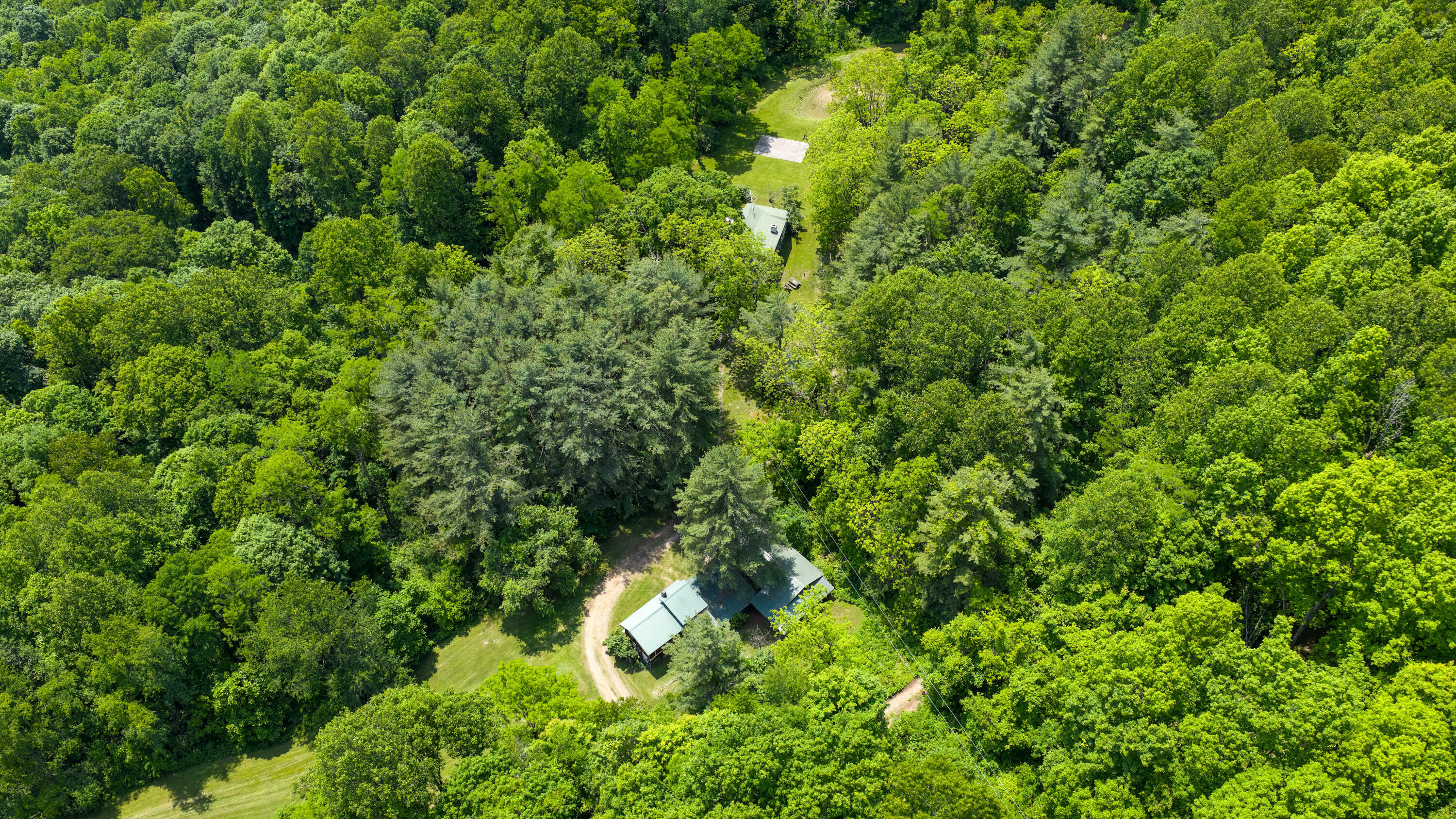 1413 Songbird Ln  Meadow Bridge WV 25976 photo
