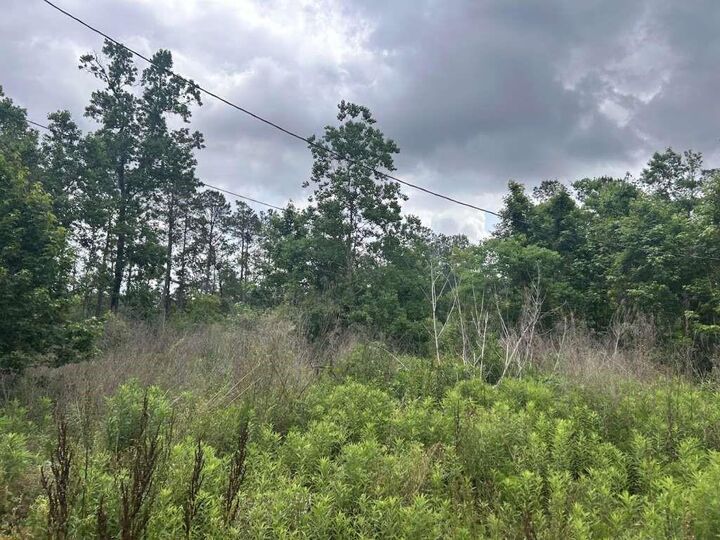 Property Photo: 195 Greathouse Street TX 77662