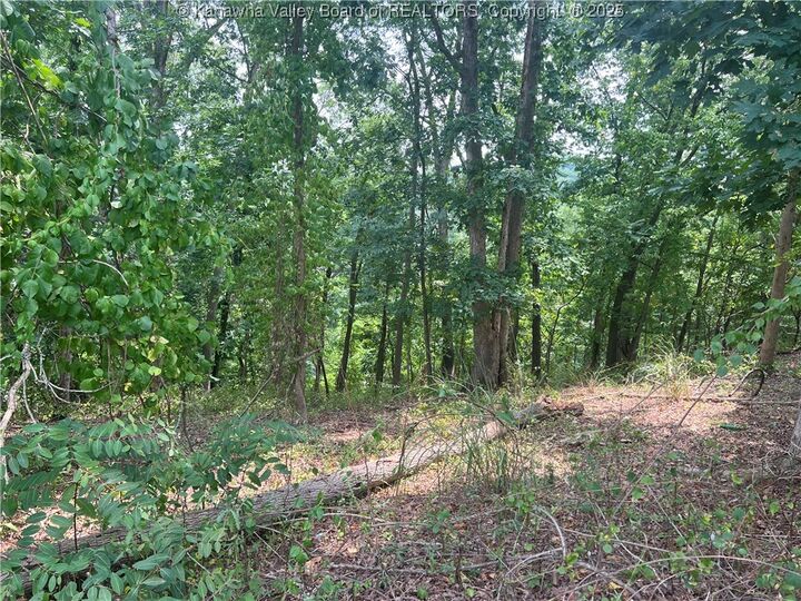 0 Suncrest Place  Charleston WV 25303 photo