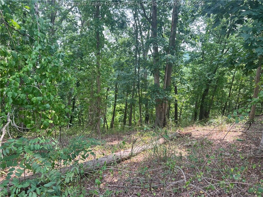 Property Photo:  0 Suncrest Place  WV 25303 