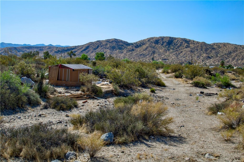 Property Photo: 0 Big Morongo CA 92256