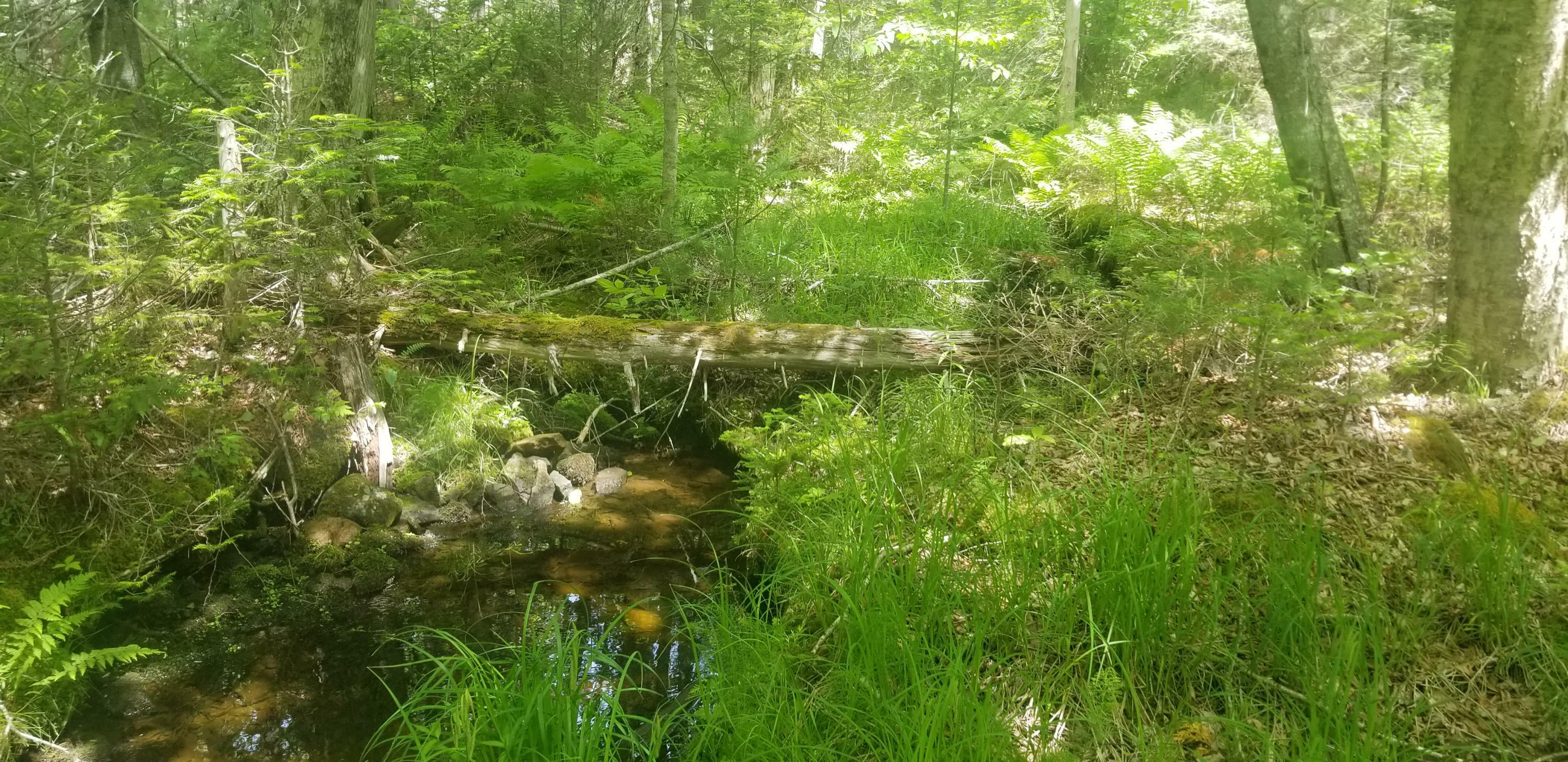 Property Photo:  M13, L36, Harland Cunningham Road  ME 04476 