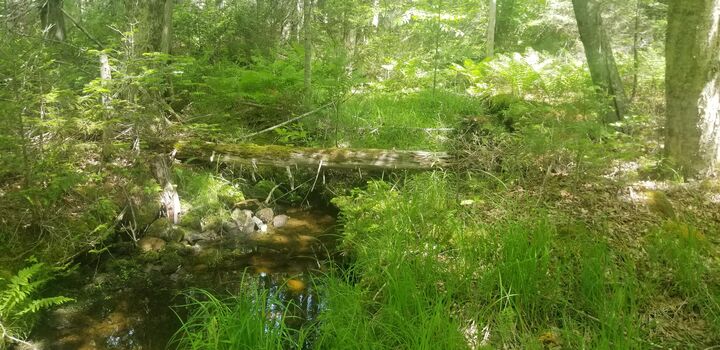 Property Photo: M13, L36, Harland Cunningham Road ME 04476