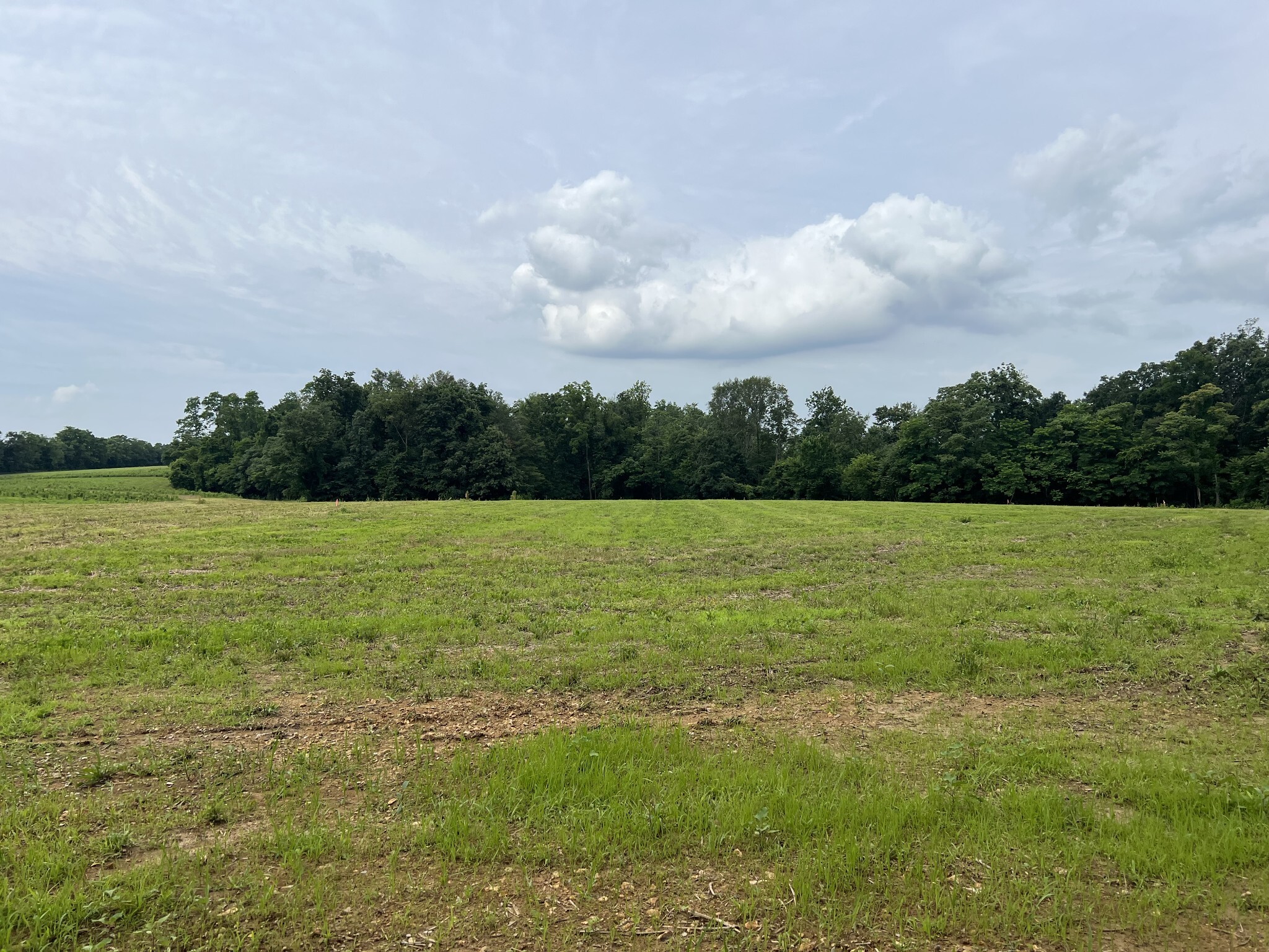 Property Photo:  20 Annie Hollow Rd  TN 37186 