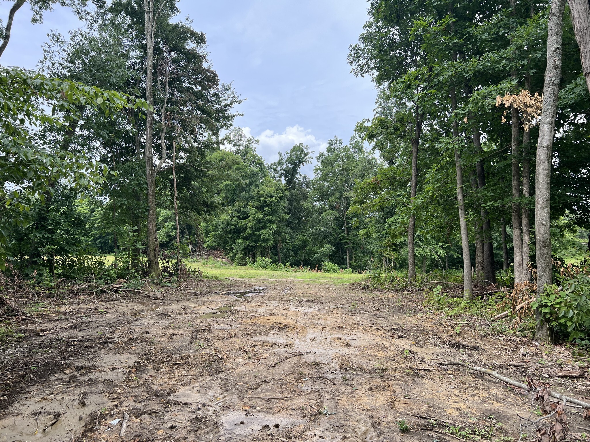 Property Photo:  22 Annie Hollow Rd  TN 37186 
