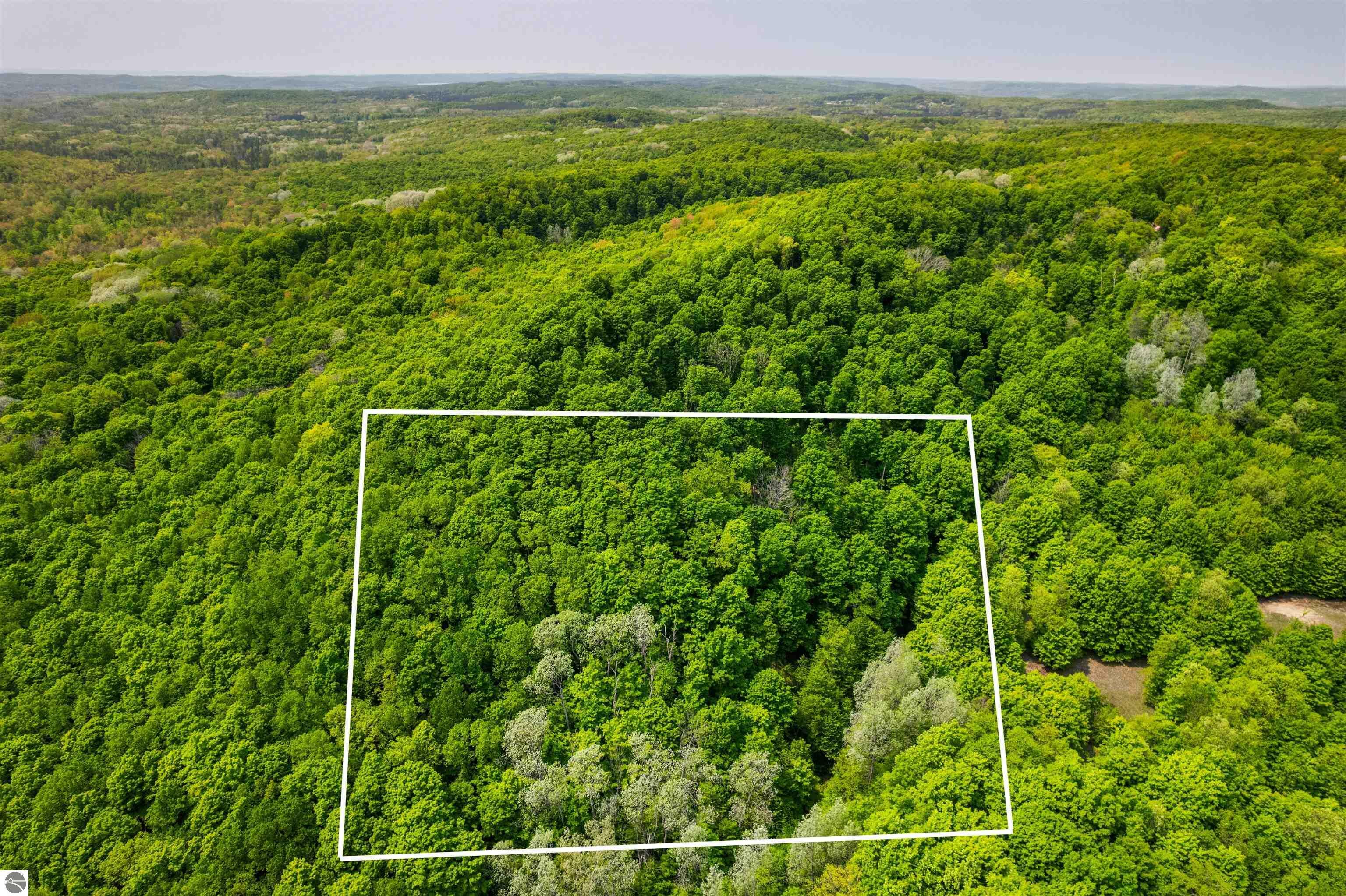 Property Photo:  V/L Spring Hill  MI 49659 
