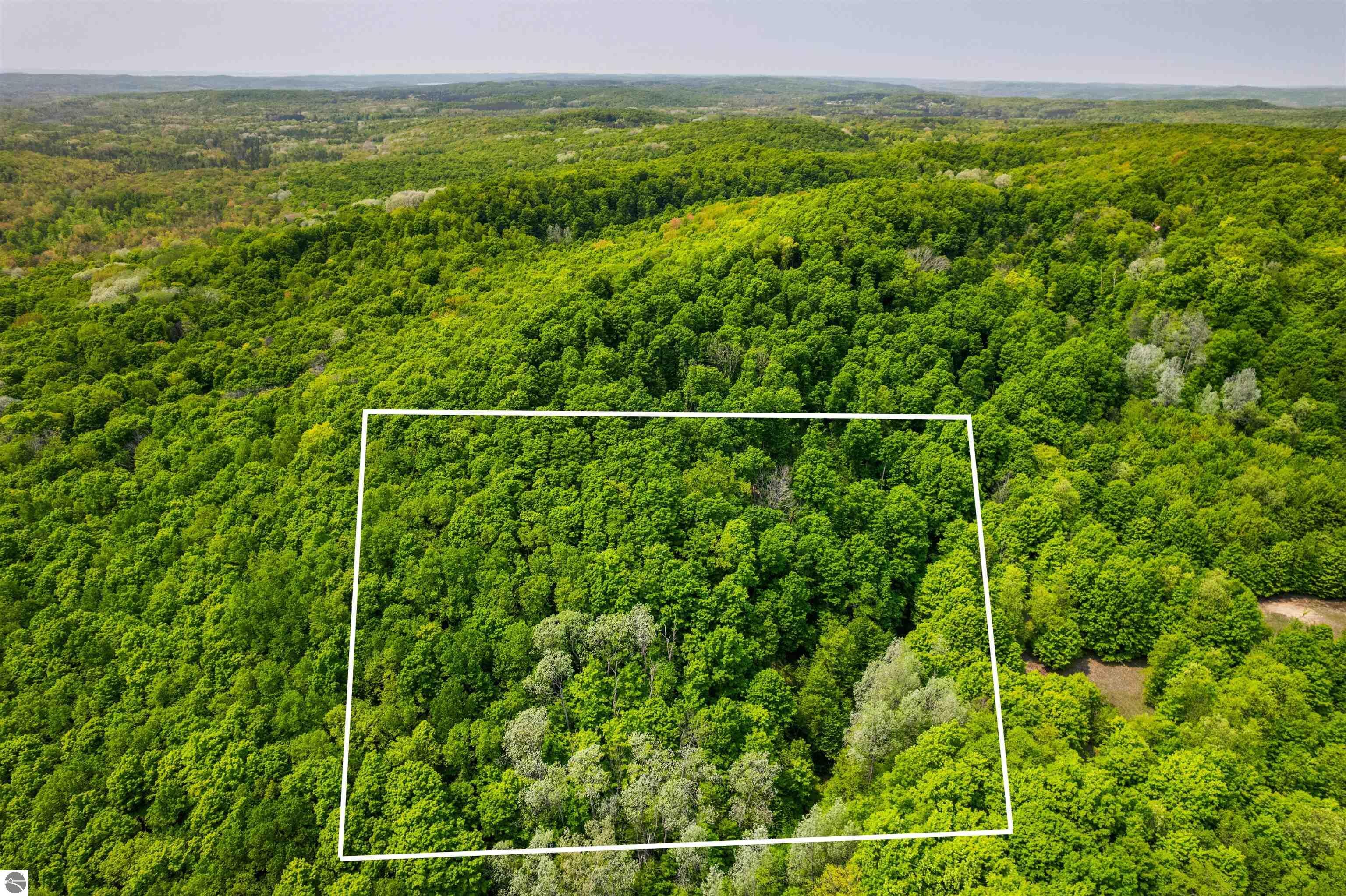 Property Photo: V/L Spring Hill MI 49659