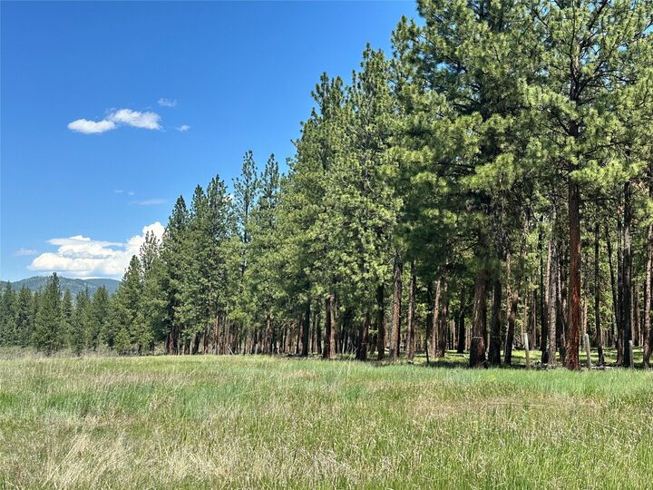 Property Photo:  Nhn River Road W  MT 59859 