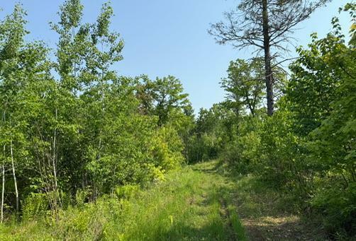 Property Photo: Tbd County Road T WI 54830