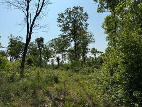 Property Photo:  Tbd County Road T  WI 54830 