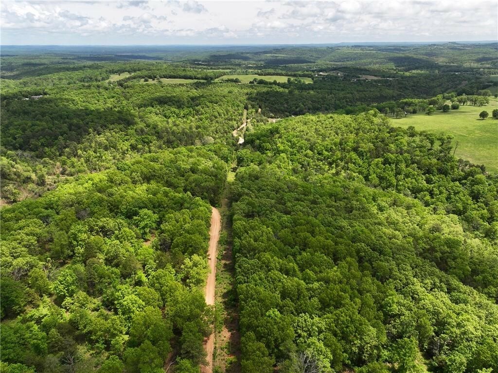 Property Photo: Tbd Polite Road AR 72662