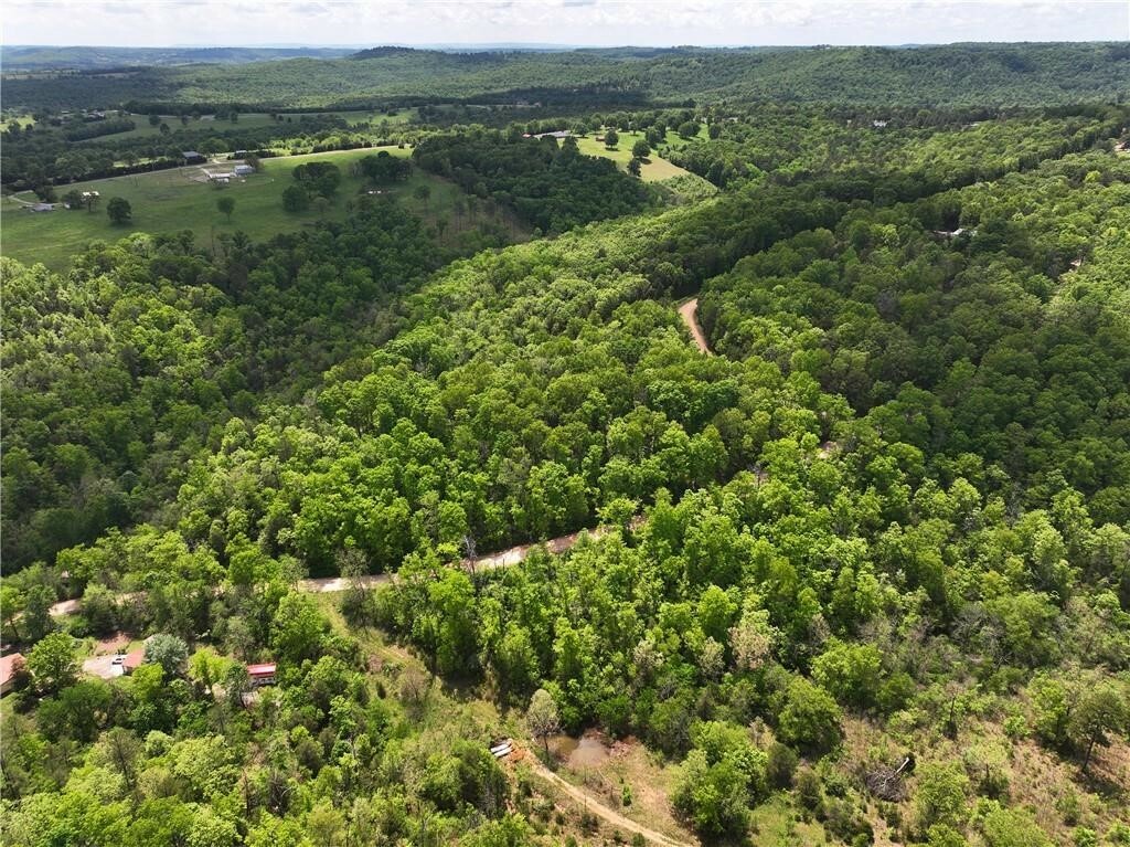 Tbd Polite Road  Omaha AR 72662 photo