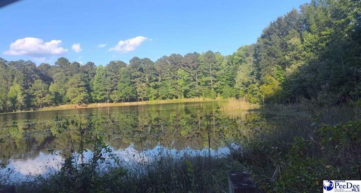Property Photo: 108 San Lin Avenue SC 29069