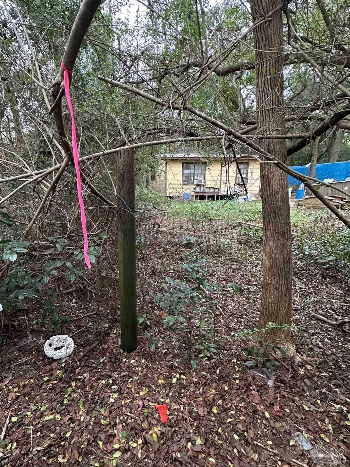 Property Photo:  700 Polk Ave  FL 32507 