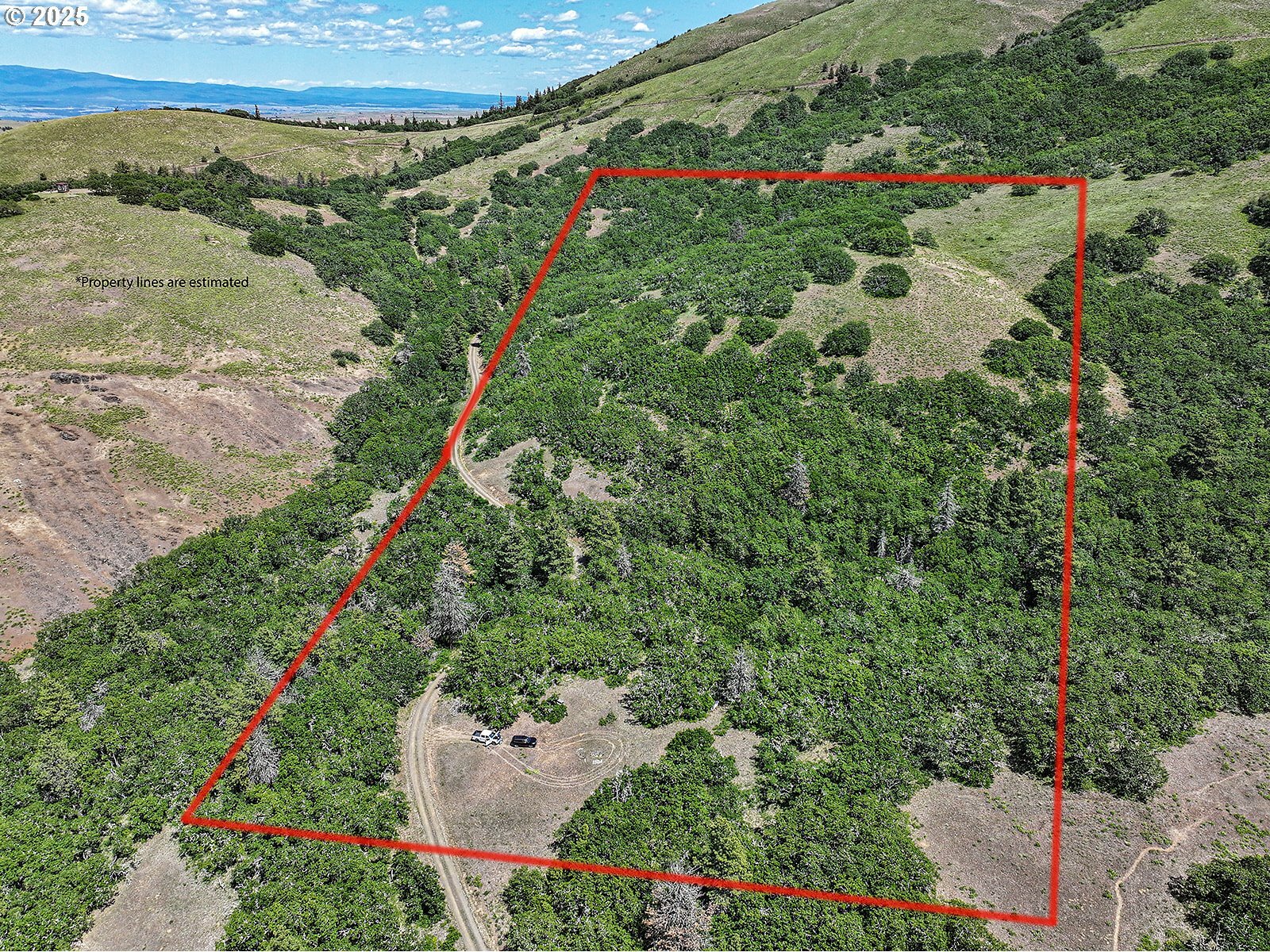 Property Photo: Stacker Butte Rd WA 98635