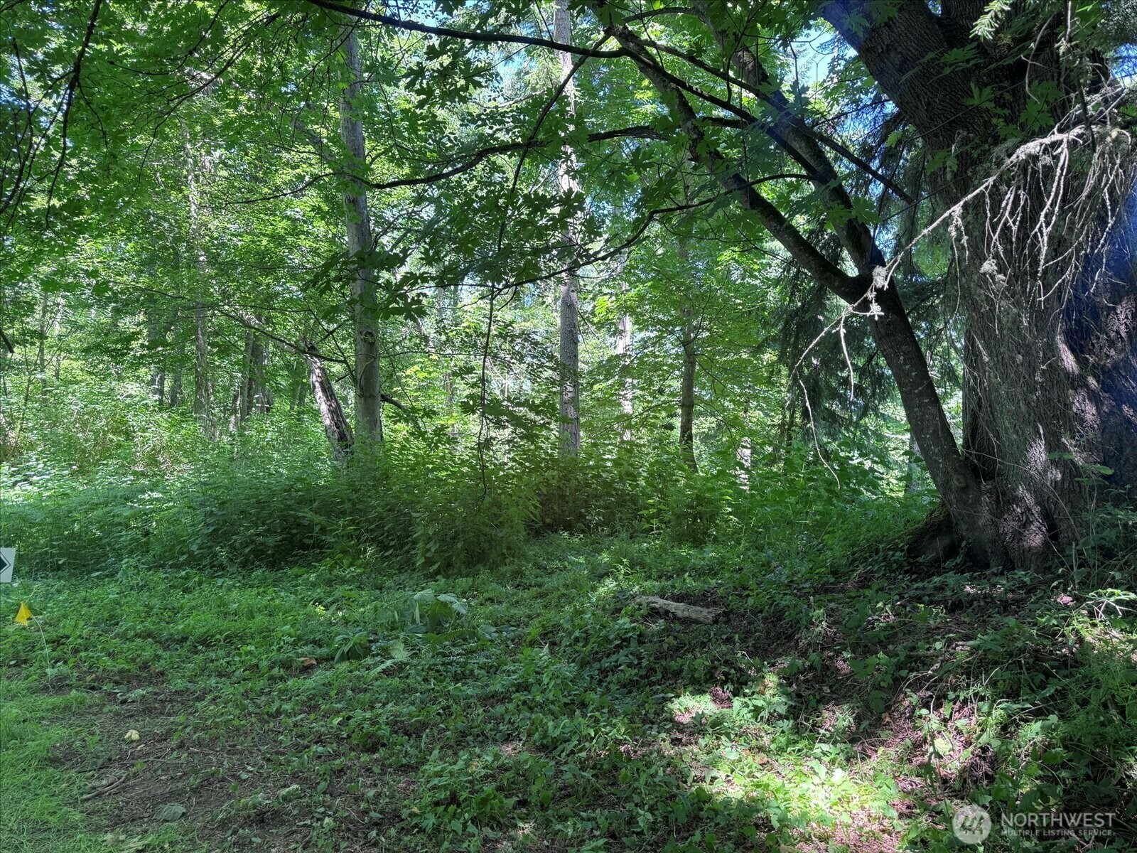 Property Photo: 0 Xxx Izzy Lane WA 98236