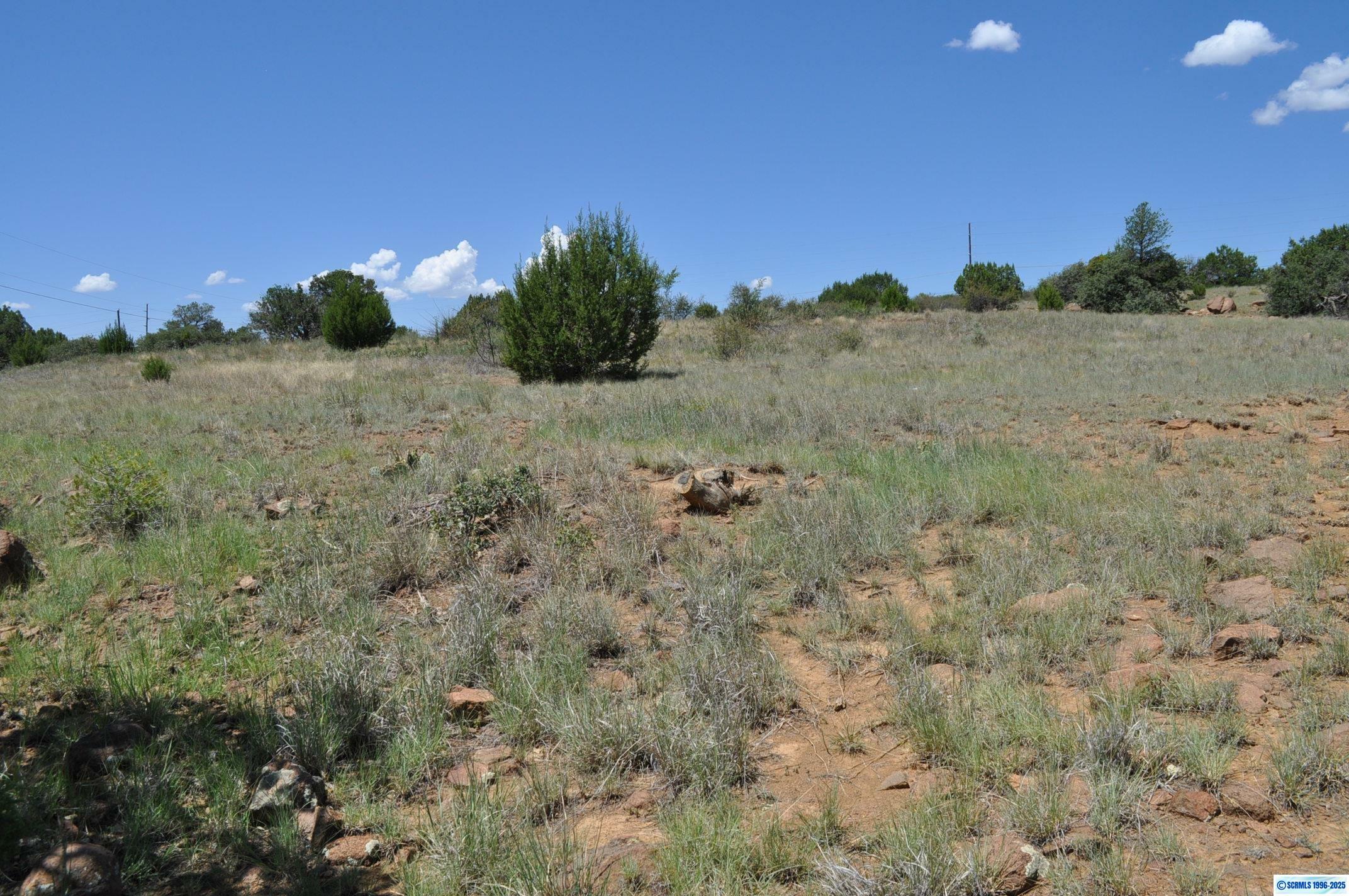 Property Photo: 3504 Pinos Altos Road NM 88061