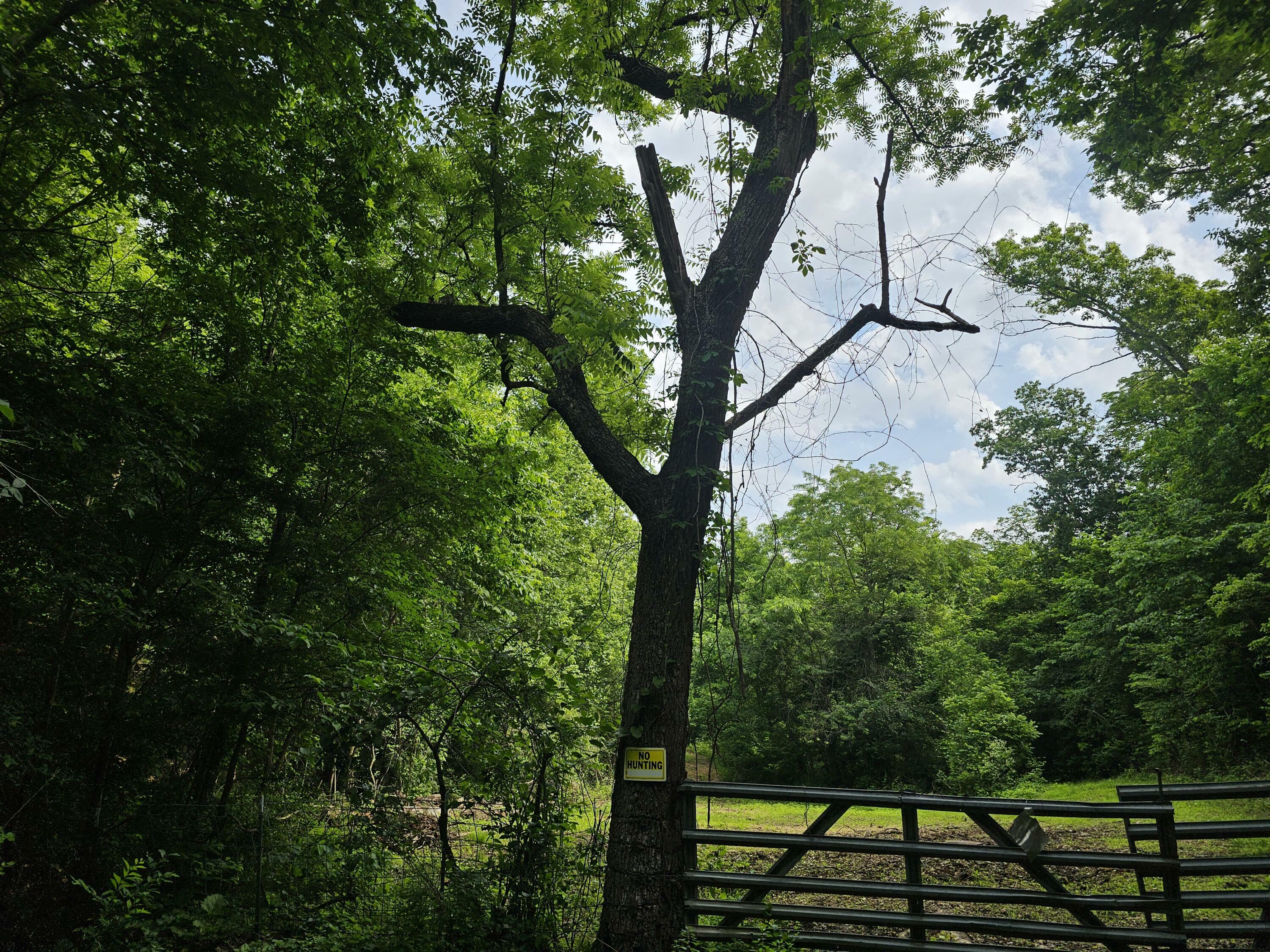 000 Sunny Slope Drive  Crane MO 65633 photo