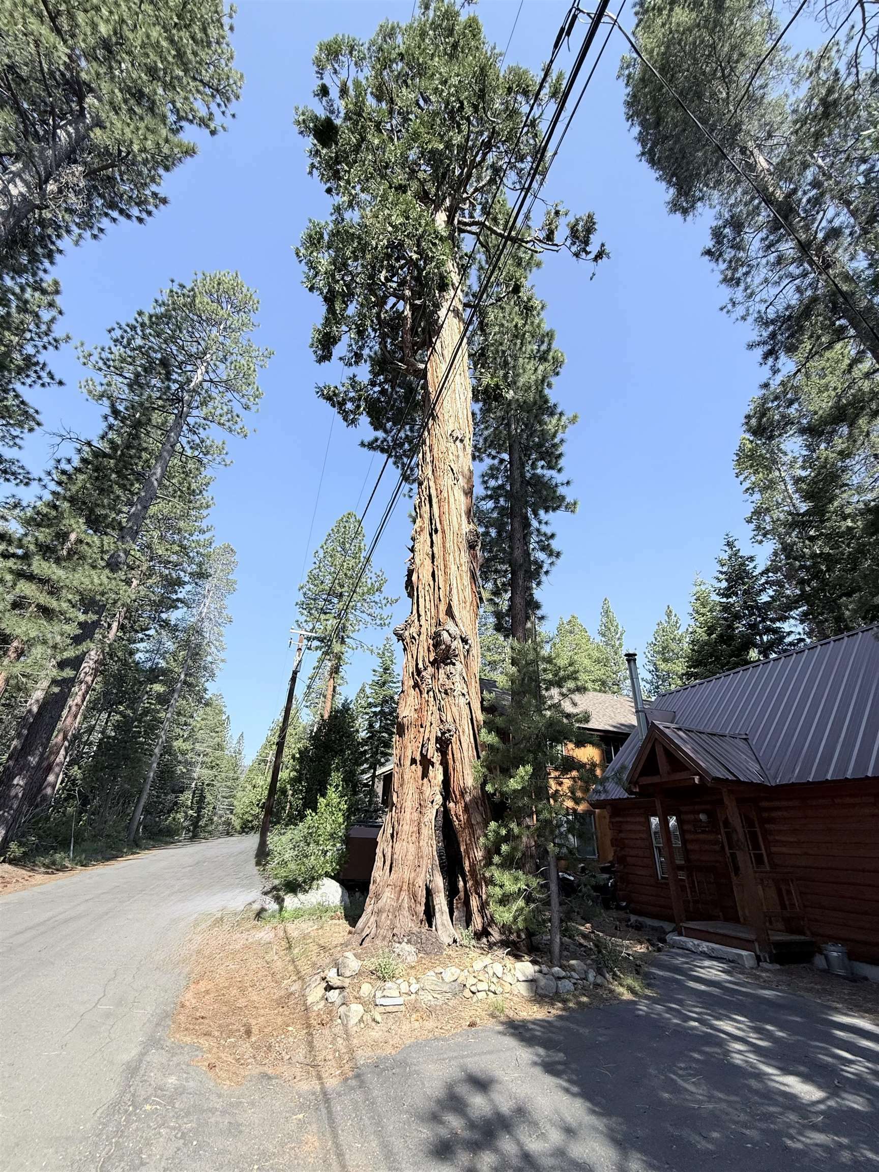 Property Photo: 274 Oak Street CA 96142