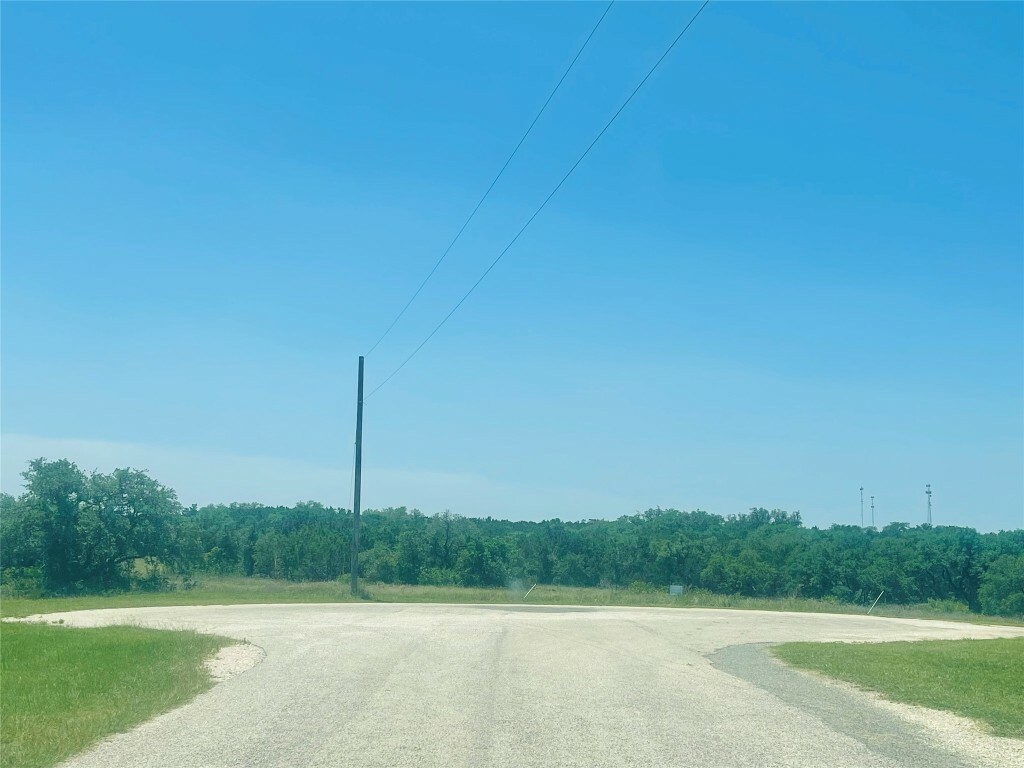 Property Photo:  249 Rain Lily Court  TX 78611 