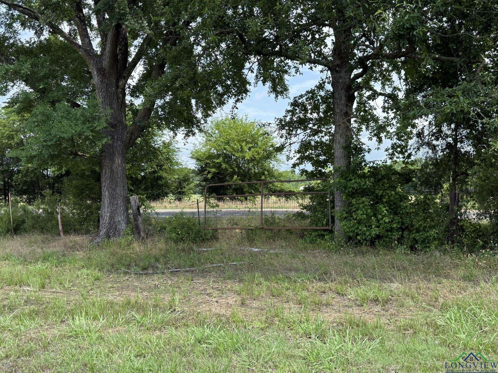 Property Photo:  Tbd Fm 993  TX 75686 