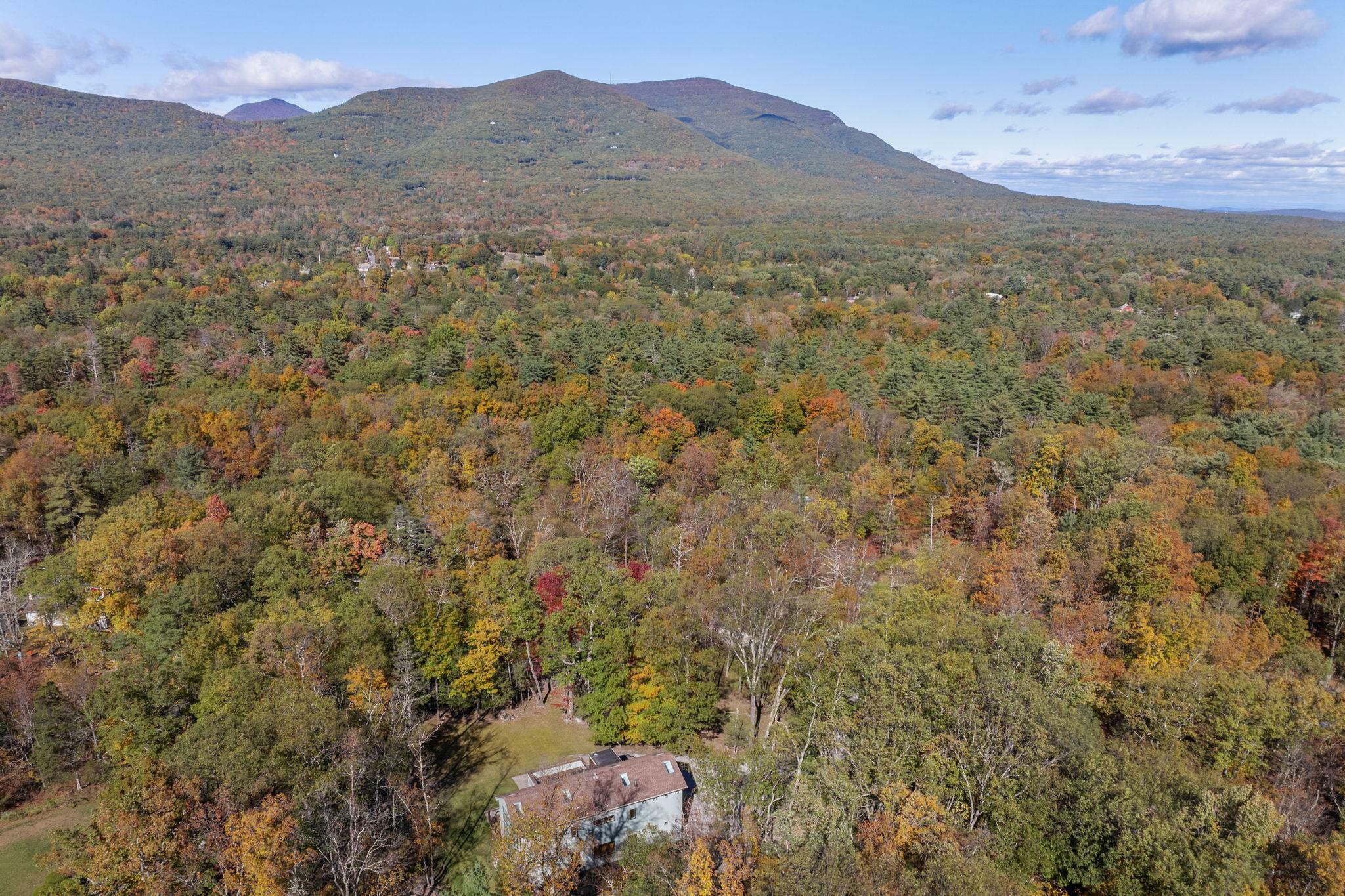 Property Photo: 44 Old Wagon Road NY 12498