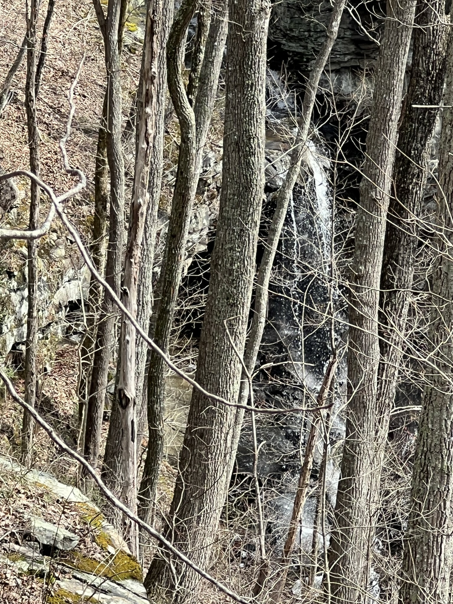 Property Photo: 4441 Deer Run Road TN 37301