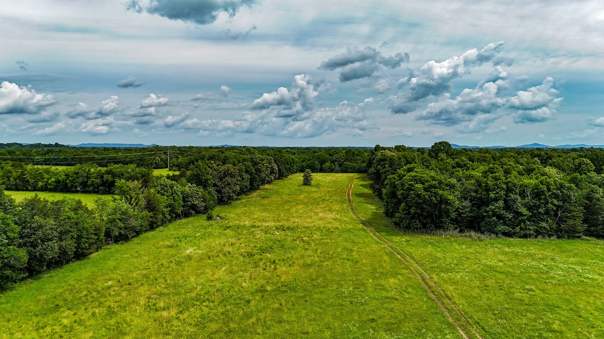 Property Photo: 0 Clem Creek Rd TN 37034