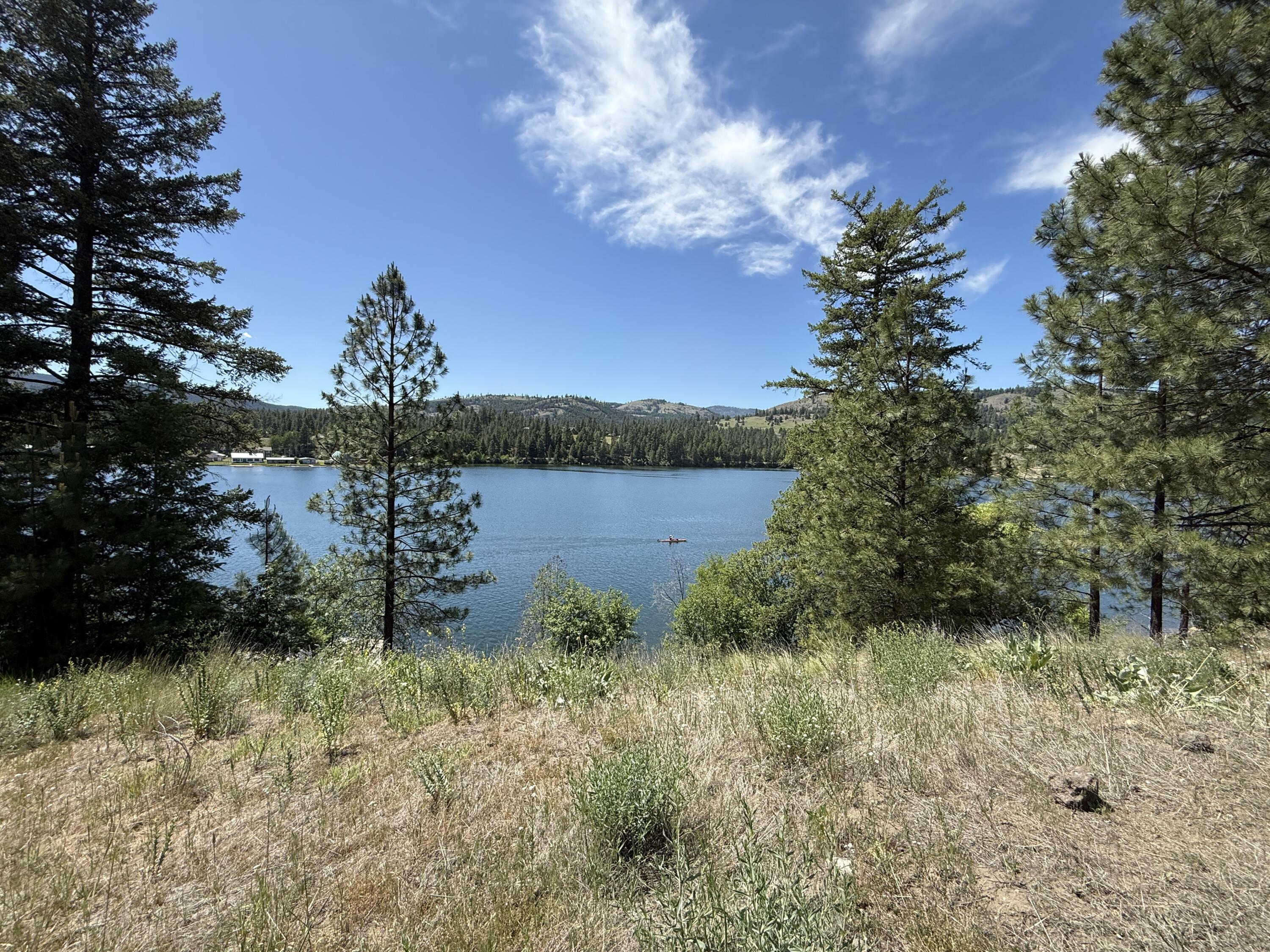 Property Photo: Tbd Dollar Bar Beach Rd WA 99166