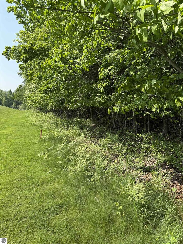 0000 Mooney Way  Kewadin MI 49648 photo