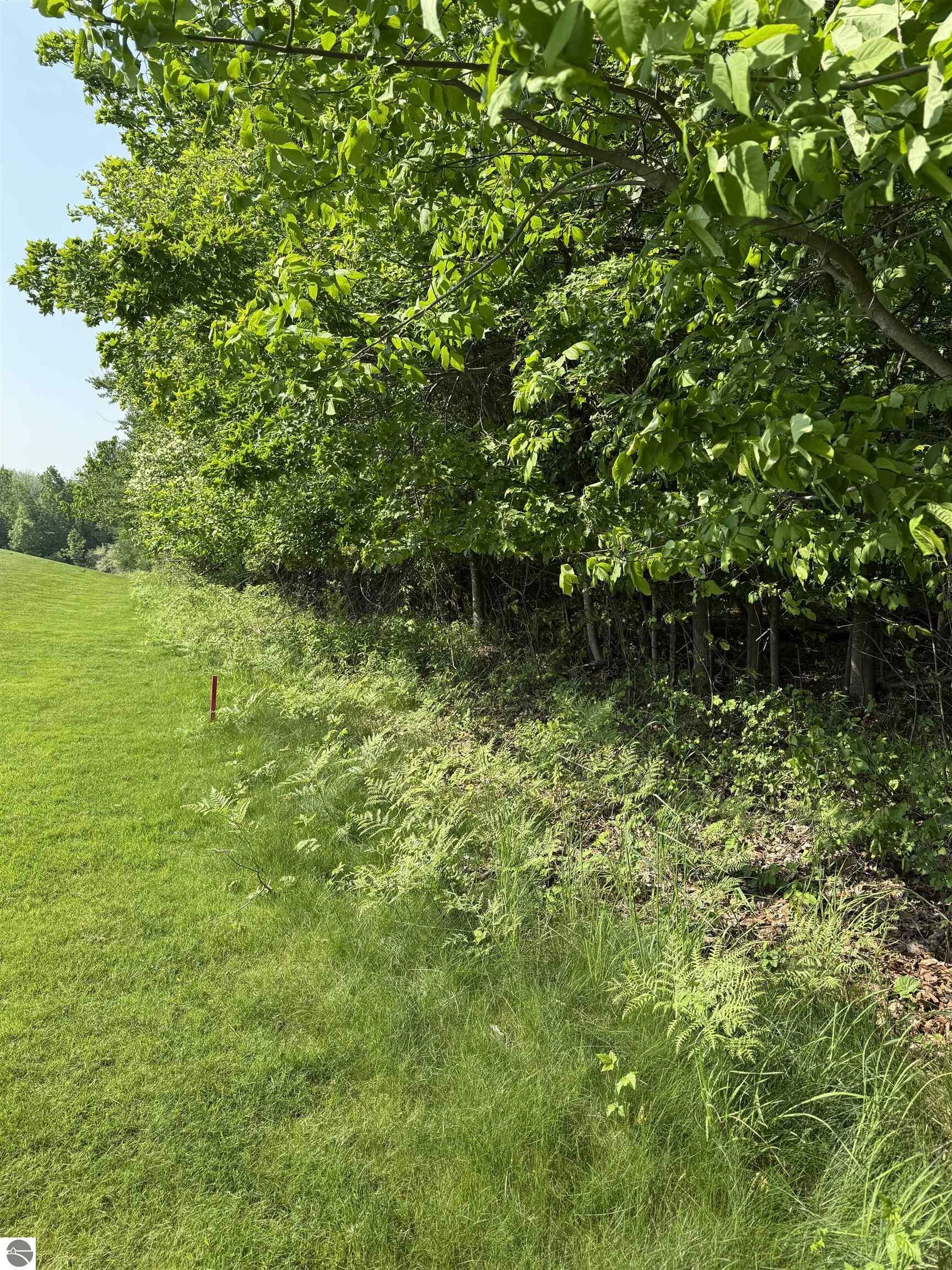 Property Photo: 0000 Mooney Way MI 49648