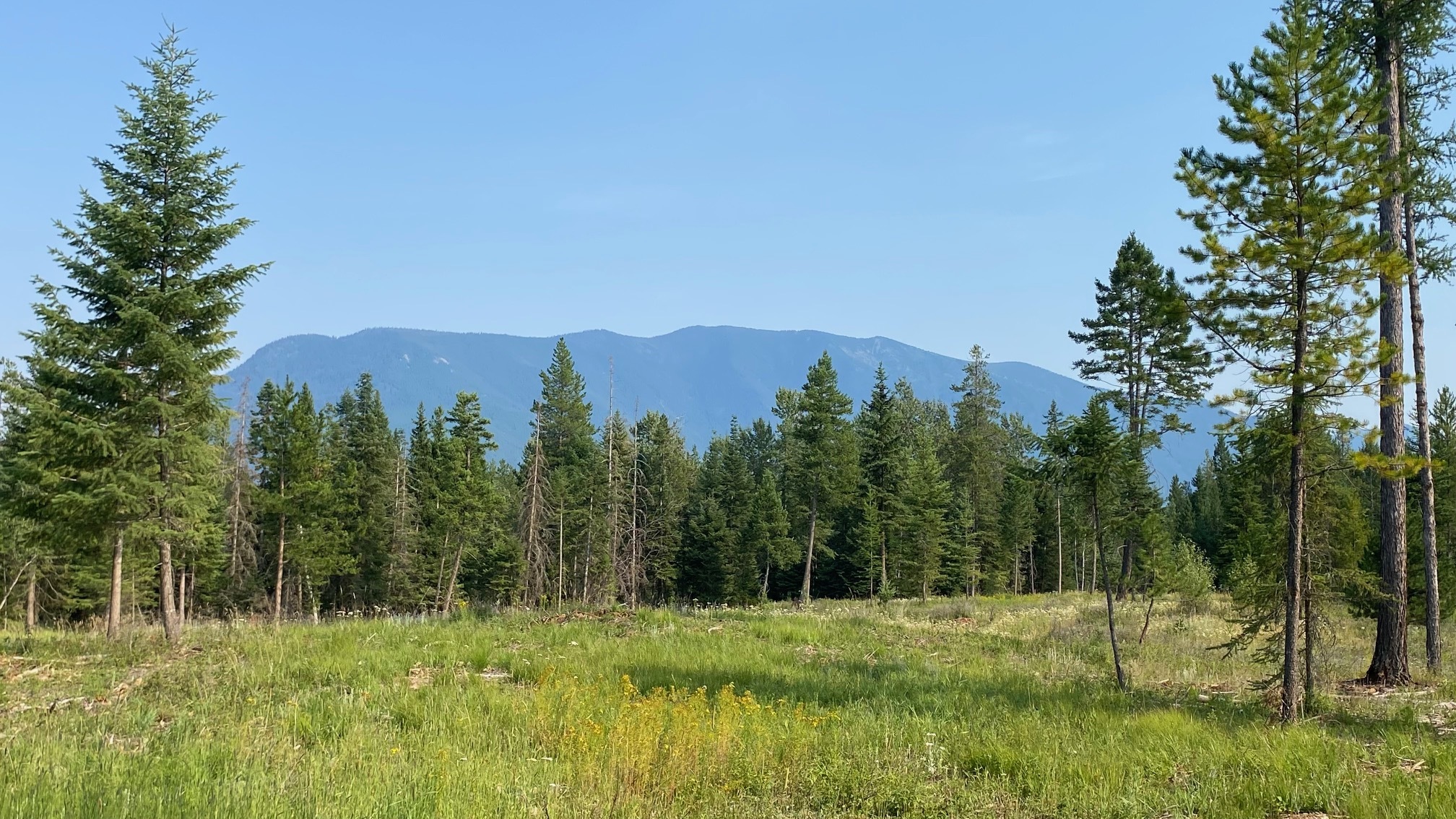 Property Photo: 1068 Larch Ridge Trail MT 59912