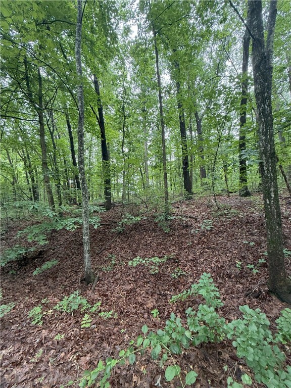 Property Photo: 12 Shildon Circle AR 72714