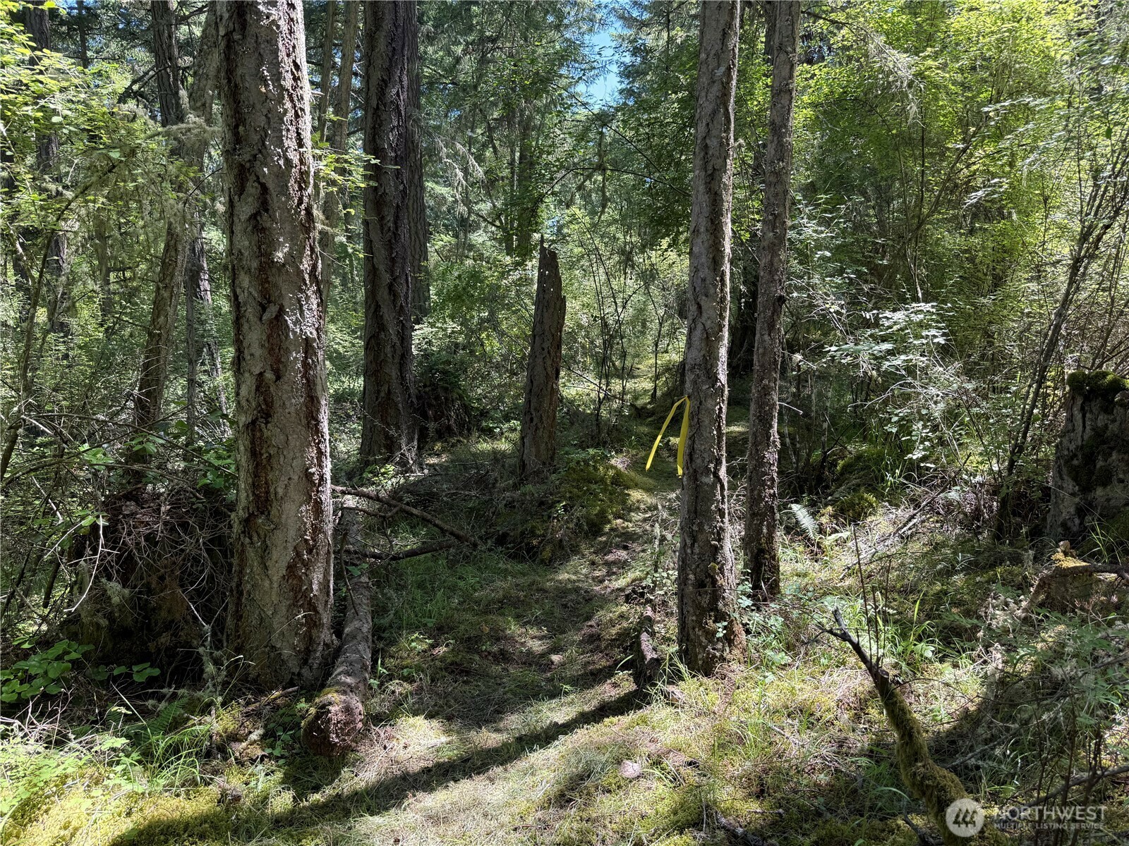 Property Photo: 0 Thimbleberry Lane WA 98250