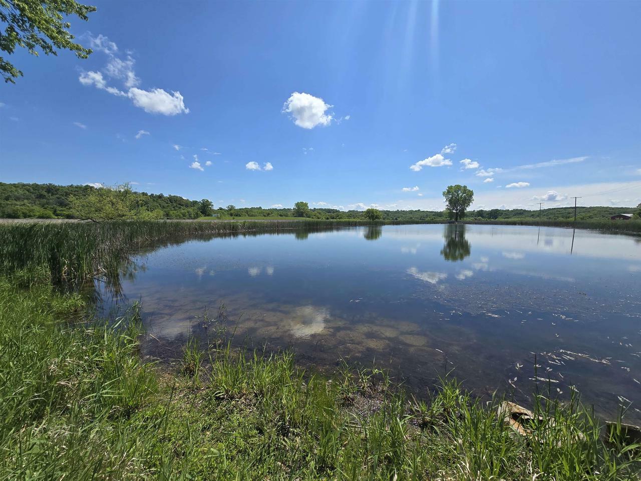 Property Photo: 68+/- Acres Highway 39 WI 53544