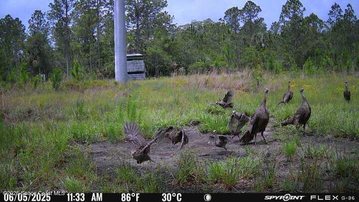 Property Photo: 0000 D Johnson FL 32754