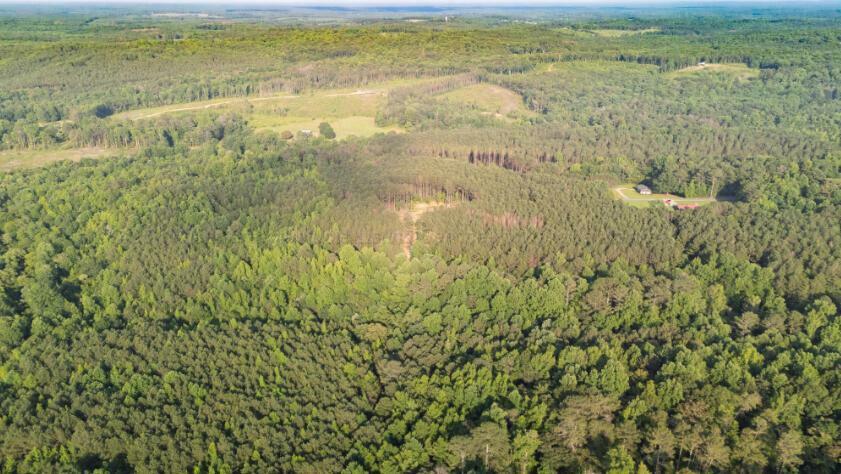 Property Photo: 1197 2 Hill Rd AL 35578