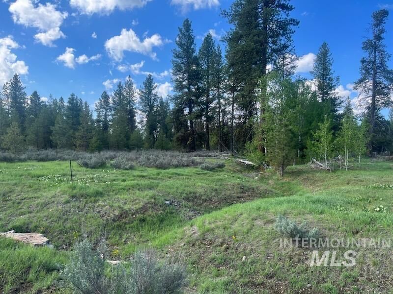 Property Photo: 29 Fawnlilly Dr ID 83638